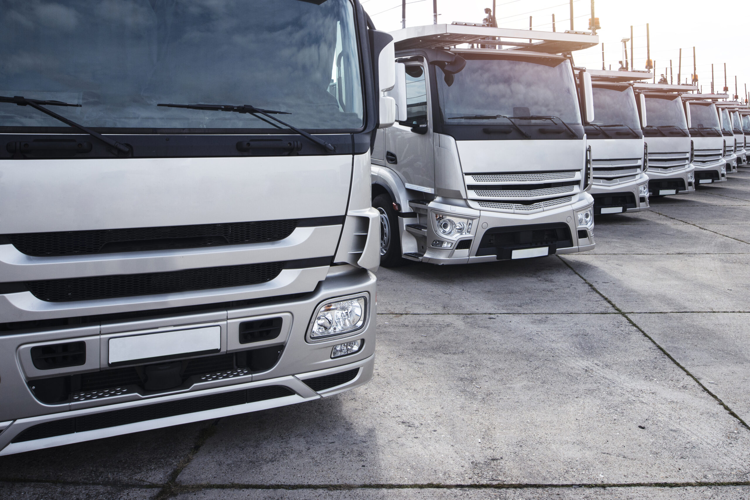 Gestión profesional de transporte