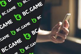 Exploring Payment Options at BC.Game A Comprehensive Guide Exploring Payment Options at BC.Game A Comprehensive Guide