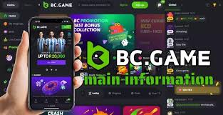 Is BC.Game Legal in Kazakhstan Exploring the Legality of Online Gambling Is BC.Game Legal in Kazakhstan Exploring the Legality of Online Gambling