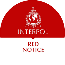 Understanding the Role of Interpol Defense Lawyers 1342073316 Understanding the Role of Interpol Defense Lawyers 1342073316