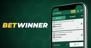Maximize Your Earnings with the BetWinner Affiliate Program Maximize Your Earnings with the BetWinner Affiliate Program